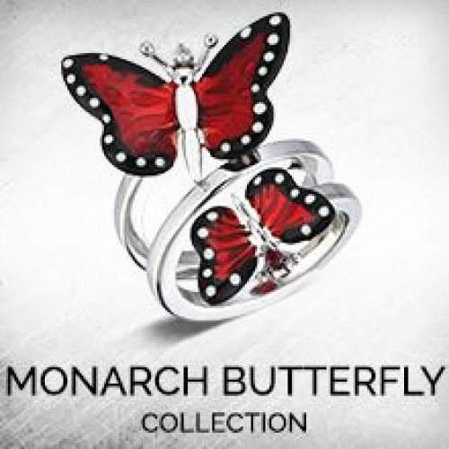 MONARCH BUTTERFLY